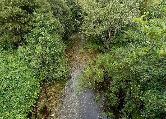 Guestready - Oasis In *